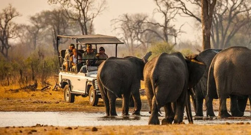 CHOBE-DAY-TRIP_2_wuqpn7