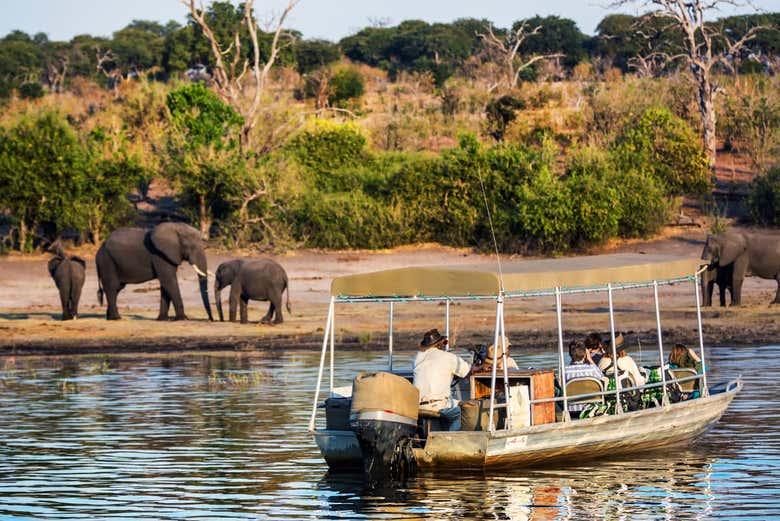 Chobe Day Trip Tour Chobe Day Trip Tour